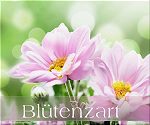 Blütenzart - Blütenzart