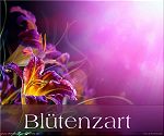 Blütenzart - Blütenzart