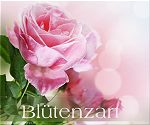 Blütenzart - Blütenzart