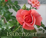 Blütenzart - Blütenzart