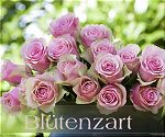 Blütenzart - Blütenzart