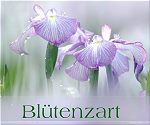 Blütenzart - Blütenzart
