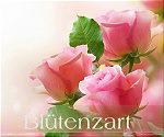 Blütenzart - Blütenzart