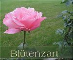 Blütenzart - Blütenzart