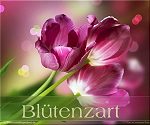 Blütenzart - Blütenzart