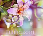 Blütenzart - Blütenzart