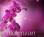 Blütenzart - Blütenzart