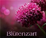 Blütenzart - Blütenzart