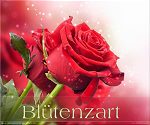Blütenzart - Blütenzart