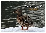 Wochentage - Donnerstag