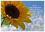 Platz 22