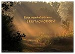 Platz 37