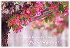 Jahreszeiten - Frühlingspost