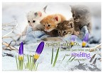 Jahreszeiten - Frühlingspost