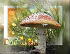 Was ich Dir wünsche - Viel Glück