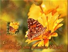 Was ich Dir wünsche - Viel Glück