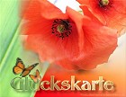 Was ich Dir wünsche - Viel Glück