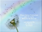 Was ich Dir wünsche - Viel Glück