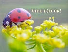 Was ich Dir wünsche - Viel Glück