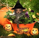 It´s Magical - Halloweengrüßle - Classic