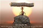 Was ich Dir wünsche - Ich wünsche Dir