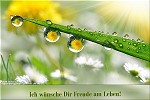 Was ich Dir wünsche - Ich wünsche Dir