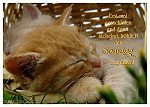 Wochentage - Sonntag