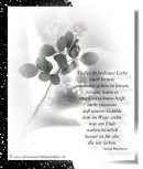 Anlässe - Trauerkarten