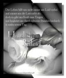 Anlässe - Trauerkarten