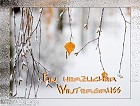 Jahreszeiten - Weiße Winterwelt