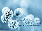 Jahreszeiten - Weiße Winterwelt